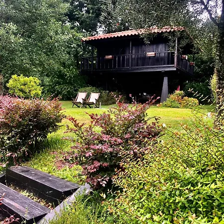 Κατάλυμα σε φάρμα Quinta Lamosa *