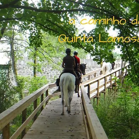 Quinta Lamosa Vakantieboerderij *