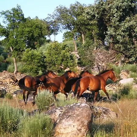 Quinta Lamosa Arcos de Valdevez