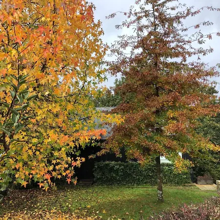 Vakantieboerderij Quinta Lamosa *