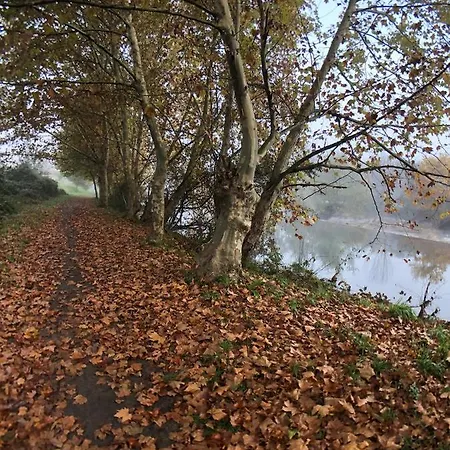 Vakantieboerderij Quinta Lamosa