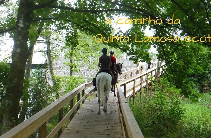 Quinta Lamosa Vakantieboerderij *