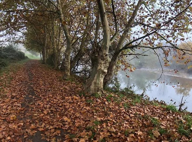 Feriegård Quinta Lamosa