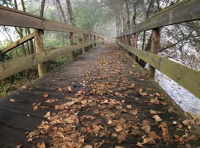 Vakantieboerderij Quinta Lamosa *